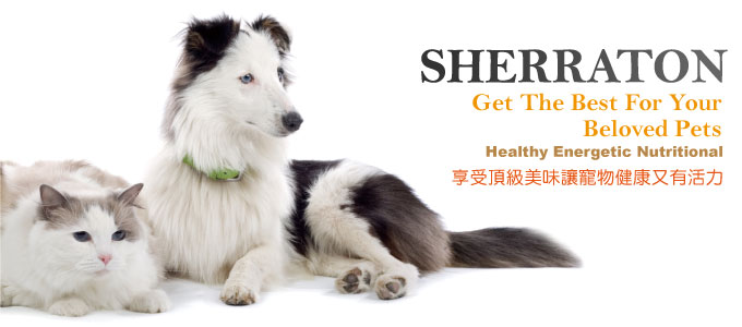 罐頭類 / 寵物狗